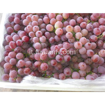 miglior uva rossa xinjiang globale